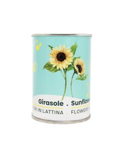 Microgarden-Sunflower