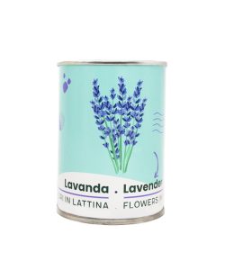 Microgarden-Lavender