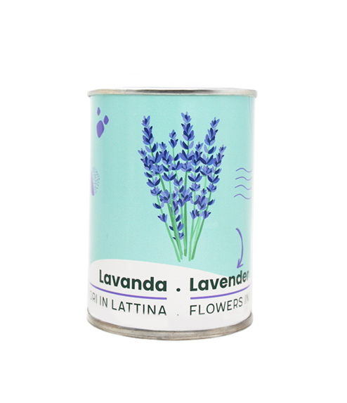 Microgarden- Lavender 494x573