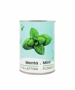 Microgarden-Mint