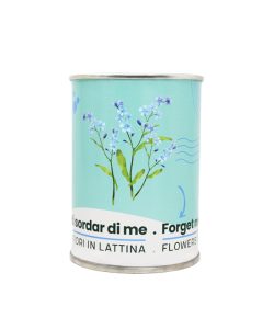 Microgarden-Forget Me Not