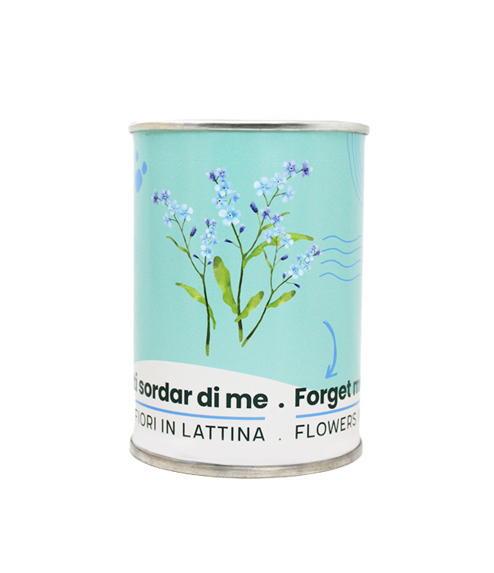 Microgarden- Forget Me Not 494x573