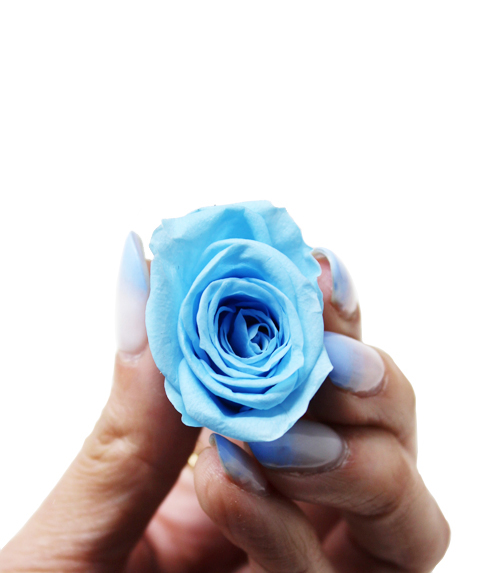 iGreen Rose light blue hand