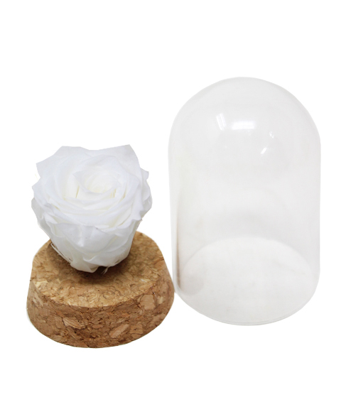 iGreen Rose white with bell