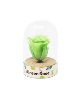 iGreenRose-Green