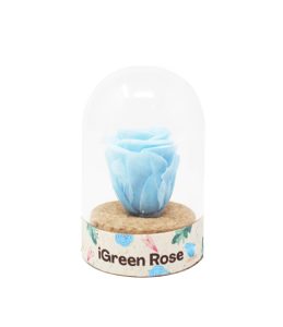 iGreenRose-Blue