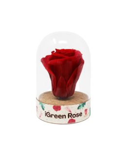 iGreenRose-Red